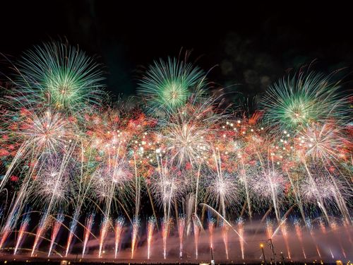 「花火のまち」大仙市で、新しいチャレンジを！