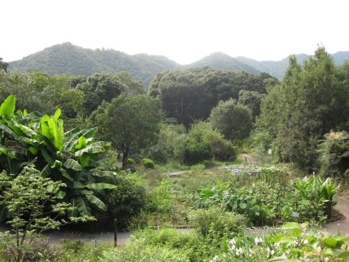 薬草公園