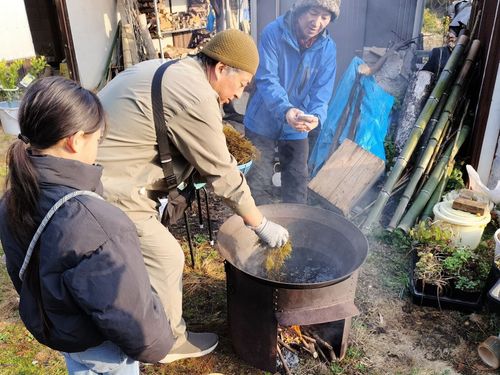 1月はひじき採集から加工まで体験します、ひじきを知り尽くそう