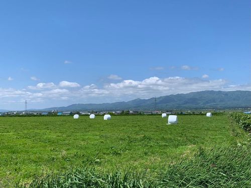 北海道らしい大自然を感じられる町です