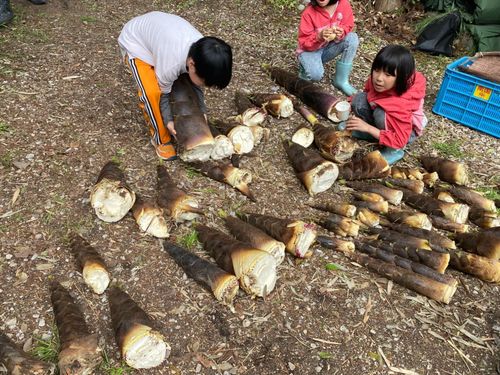 前回イベント　春の野草天ぷら大会の様子