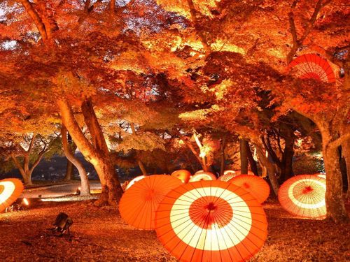 津山城もみじまつり