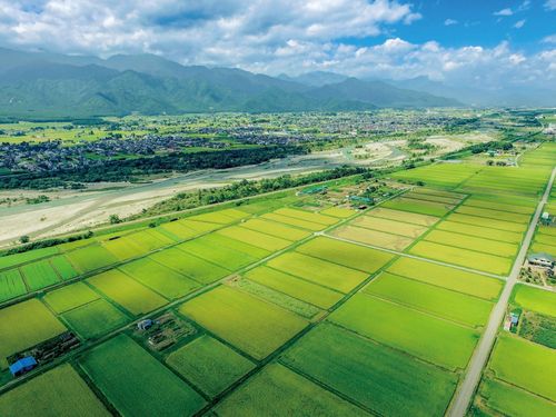 夏の北アルプスと田園風景