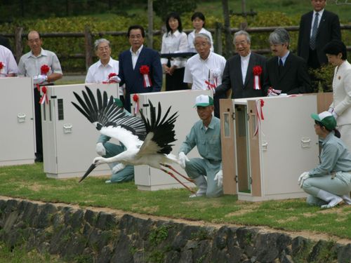 2005年のコウノトリの放鳥