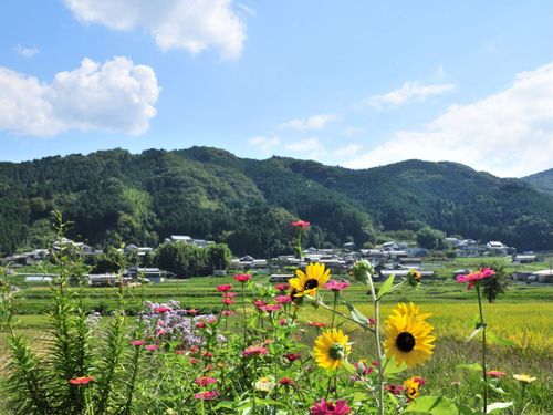 東部地域の夏の風景