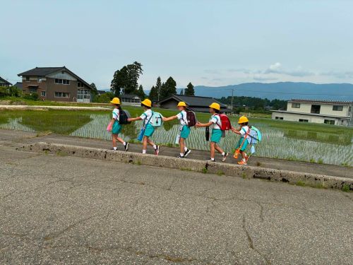 自然いっぱいの中を登校！