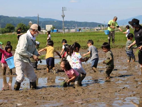 市内には保育園や認定こども園など、個性豊かな施設が合計19園も！
