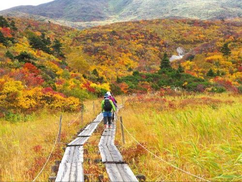 秋には鮮やかな「神の絨毯」を見に、多くの登山客が集まります。
