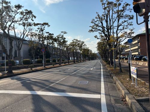 近江鉄道八日市駅に続くグリーンロード