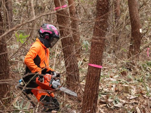 大規模ではなく1～2人程度でも行える林業の技術を習得していきます。