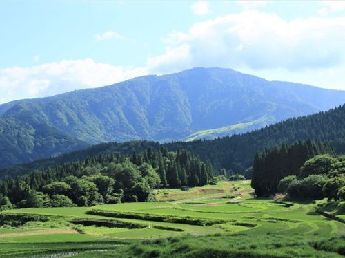 豊かな自然はどこを切り取ってもきれい