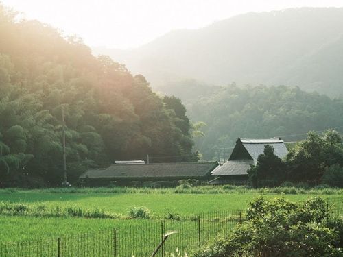 人にも昆虫にも心地よさそうな五箇エリア