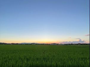 現地からびわ湖（西）を見る