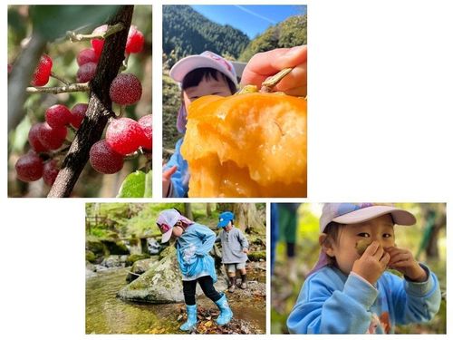 秋ならではの自然や味覚を全身で楽しめる