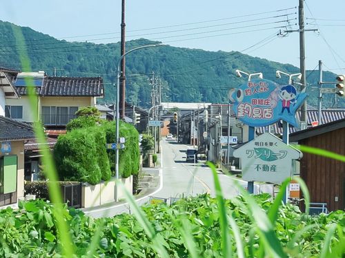 物件前面の通り沿いの道路