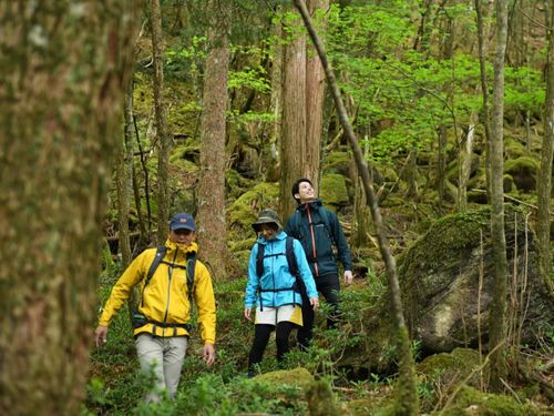 奥工石山トレッキング