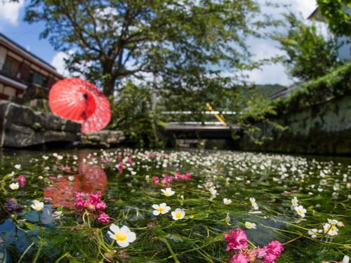 滋賀のリアルが詰まってます！