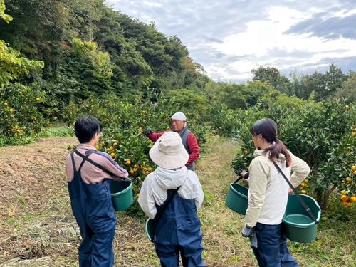 ゲストとともに島の自然、人間、営みを知る