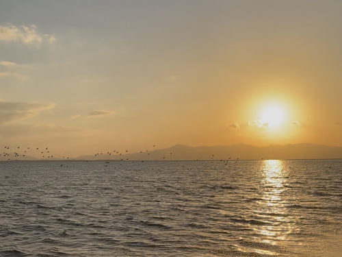 運転中には余裕がないので、私が乗客のときに撮った夕日。