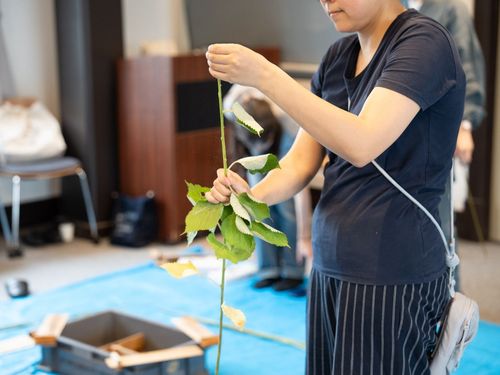 苧麻（ちょま）の葉をはいで茎から糸を作っていきます