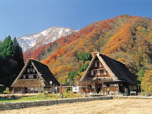 晩秋の菅沼合掌造り集落(上平)
