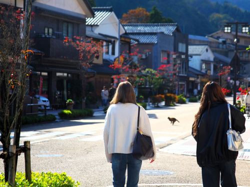 温泉街の様子