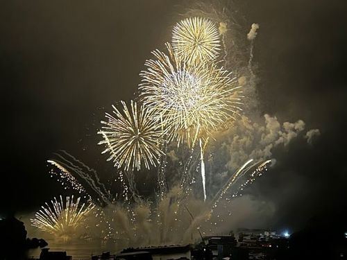 毎年8月にあるあまぎ祭の花火🎇