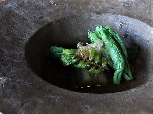 島で採れる山菜で