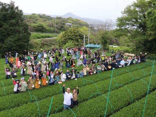 全国茶品評会で農林水産大臣賞を複数回受賞する「そのぎ茶」が有名（茶摘み時の写真）