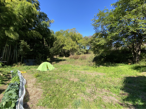 祖父母が残した900坪の土地と家屋。荒れた状態になっていました