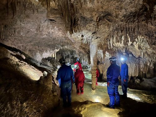 「洞窟の聖地」沖永良部島で、神秘の洞窟探検ケイビングツアー