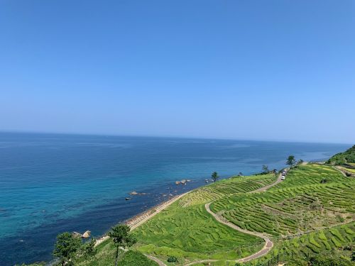 白米千枚田