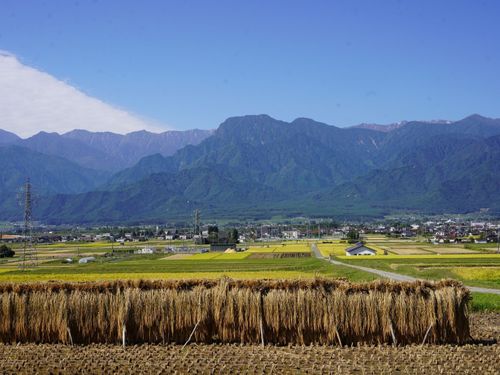秋の池田町