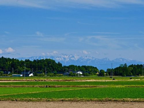 ４つのエリアから１つを選び、滞在拠点をイメージしてください