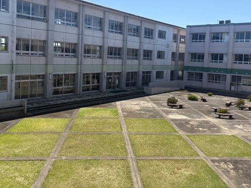 緑が広がる中庭が魅力的！