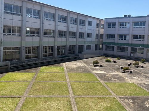 緑が広がる中庭が魅力的！