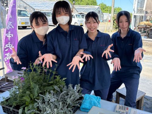 鉢花や花苗などの栽培も盛んに取り組んでいます！