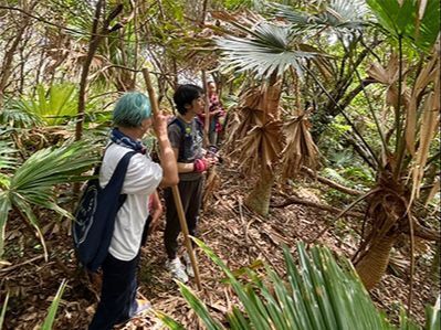 【課題解決①】登山道の情報収集
