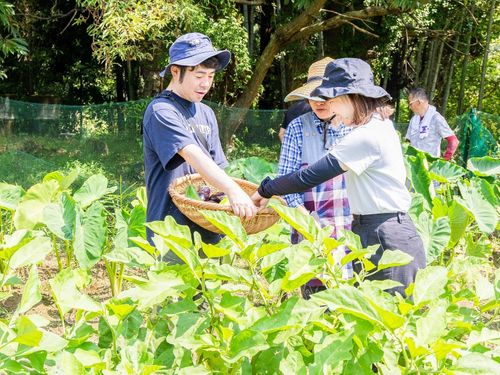 収穫した野菜を調理して食べる。これこそ贅沢！ ※写真は夏のツアーの様子
