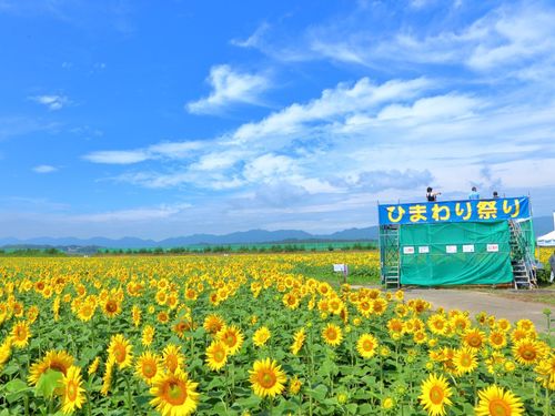 豊富な観光資源と温暖な気候が魅力の山元町