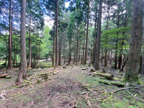 ①自然が豊かだが様々な環境変化や一部の崩壊も起こっている霧立山地内の登山道