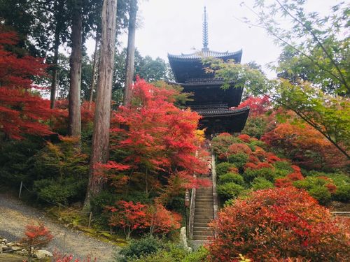 常楽寺（三重塔）