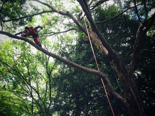 森林整備・里山整備の現場見学