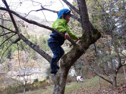 落ち葉が色づくころは虫も少なくなり木登りや山散策が楽しめます