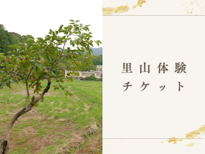 里山を体験できるチケットも!（寄付金額 10,000 円 以上）