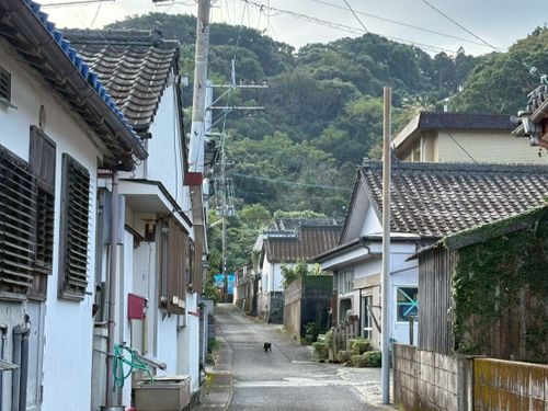 活動場所となる南大隅町の町並み