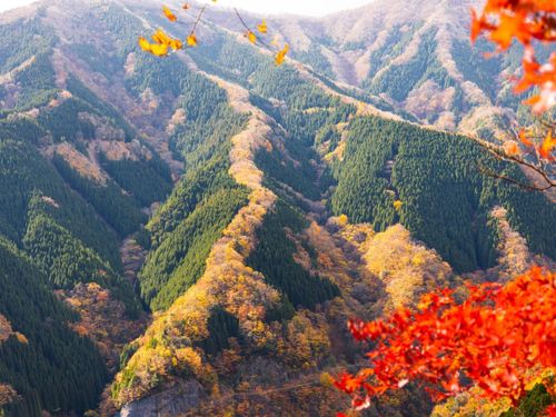紅葉シーズンのナメゴ谷