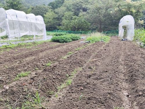 山に囲まれた自然を感じる畑で学びます。