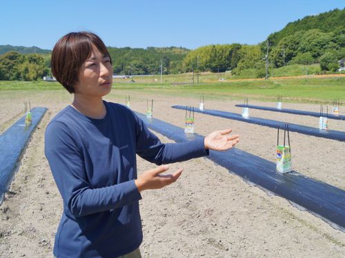 土網さん