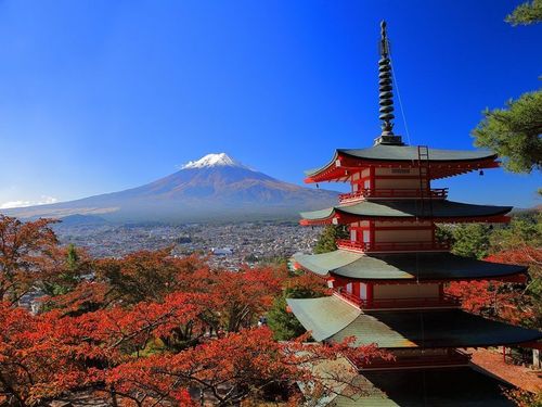 広大な自然に囲まれて、唯一無二のキャリアへの挑戦